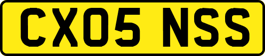 CX05NSS