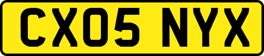 CX05NYX