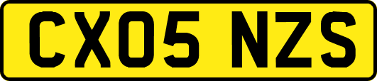 CX05NZS