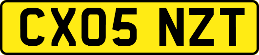 CX05NZT