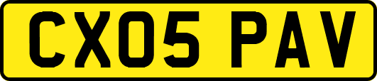 CX05PAV