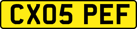 CX05PEF