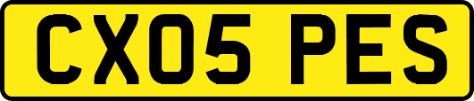 CX05PES