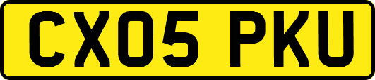 CX05PKU