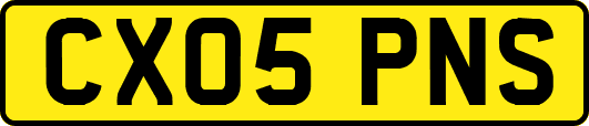 CX05PNS