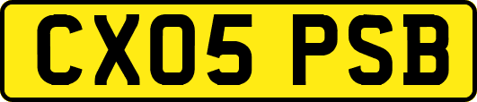 CX05PSB