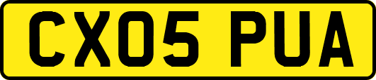 CX05PUA