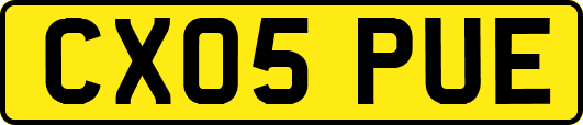 CX05PUE