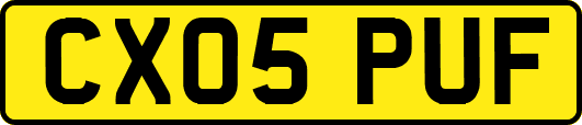 CX05PUF