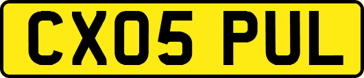 CX05PUL