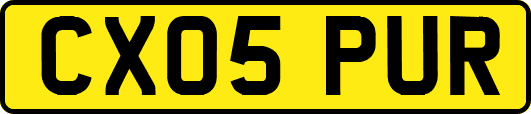 CX05PUR