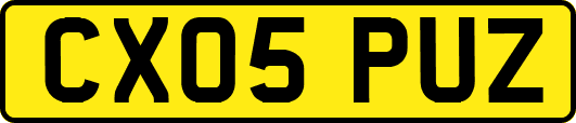 CX05PUZ