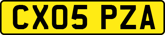 CX05PZA