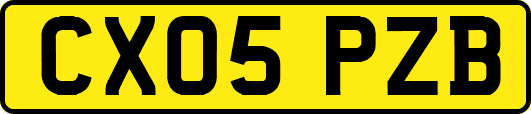 CX05PZB
