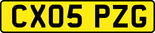 CX05PZG