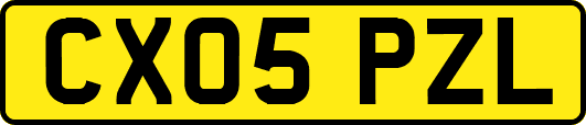 CX05PZL