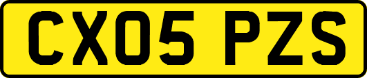 CX05PZS
