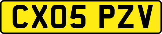 CX05PZV