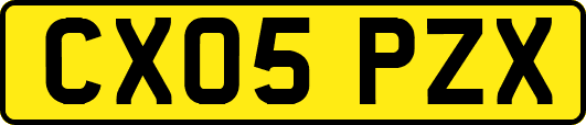 CX05PZX