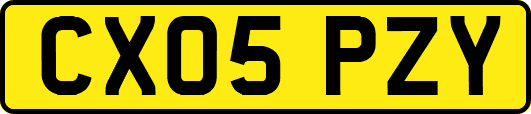 CX05PZY