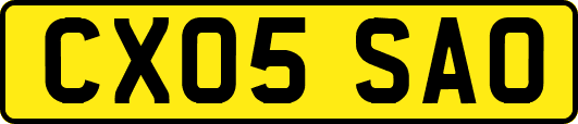 CX05SAO