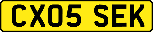 CX05SEK