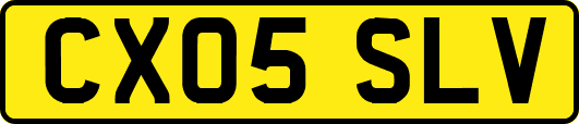 CX05SLV