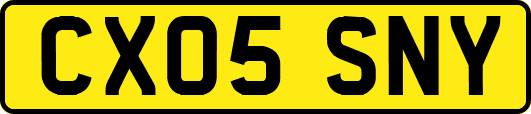 CX05SNY