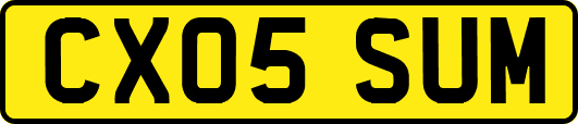 CX05SUM
