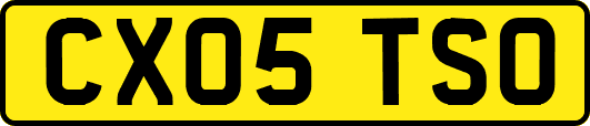 CX05TSO