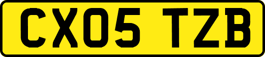 CX05TZB