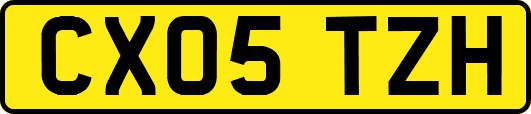 CX05TZH