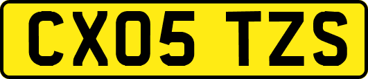 CX05TZS