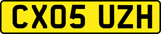 CX05UZH