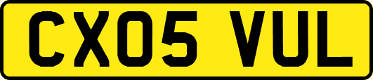 CX05VUL