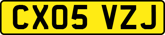 CX05VZJ