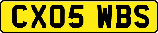 CX05WBS