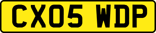 CX05WDP