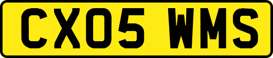 CX05WMS