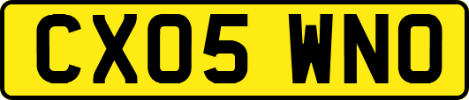CX05WNO
