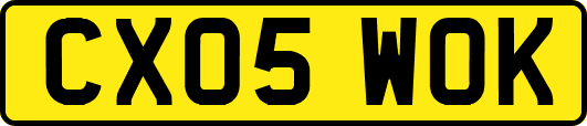 CX05WOK
