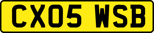CX05WSB