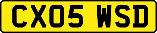 CX05WSD
