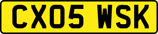 CX05WSK