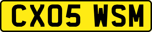 CX05WSM