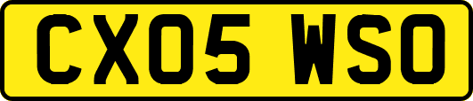 CX05WSO