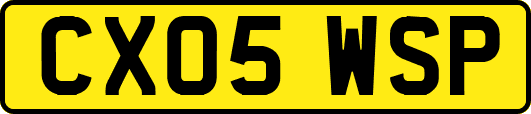 CX05WSP