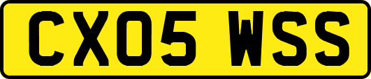 CX05WSS