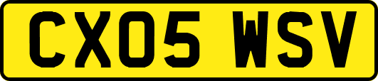 CX05WSV