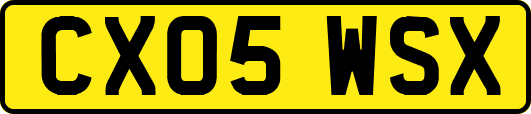 CX05WSX